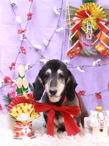 20230114ダーリンくん